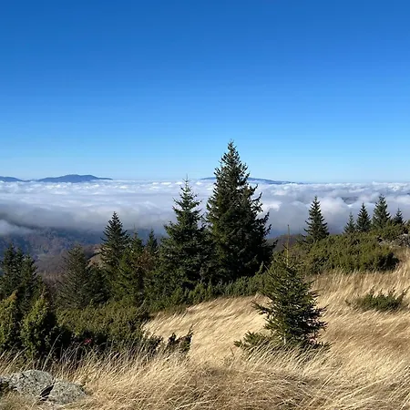 Dora Appartement Kopaonik