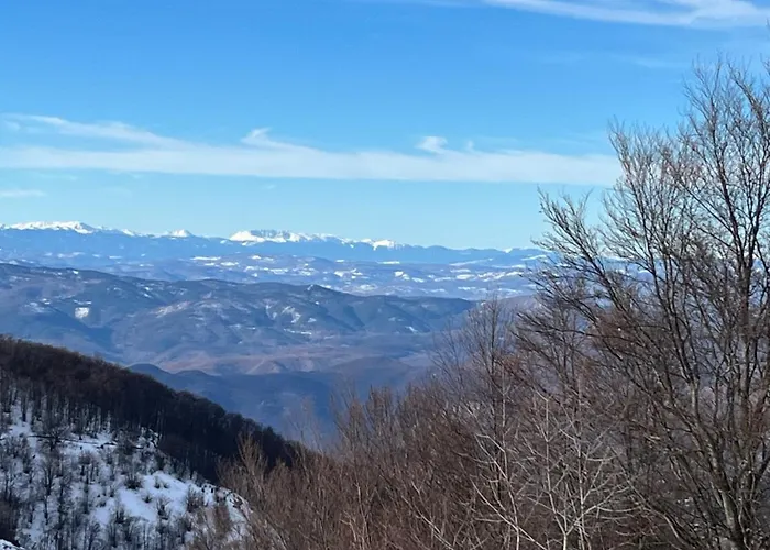 Апартаменты Dora *