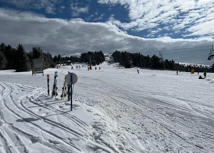 Lejlighed Dora Kopaonik