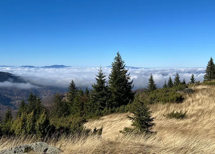 Dora Lejlighed Kopaonik