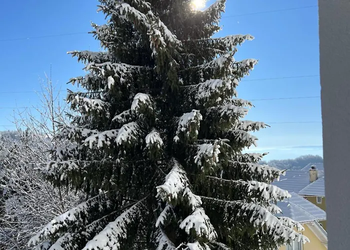 Dora Апартаменты