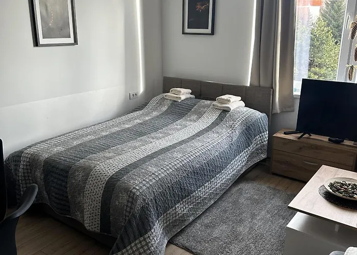 Dora Апартаменты Копаоник