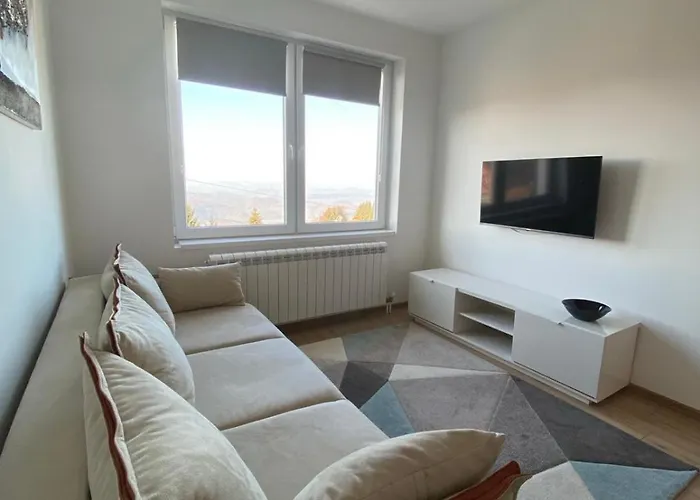 Dora Копаоник